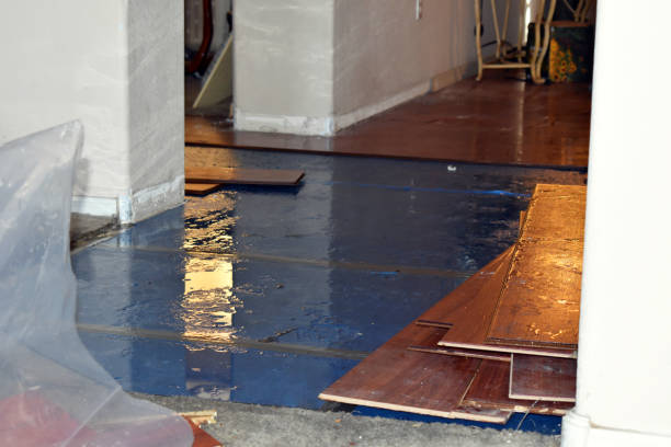 Professional Water Damage Restoration technician working in Ocean View, HI